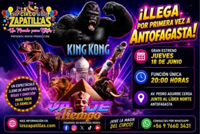 Circo de los Zapatillas en Antofagasta - Circo